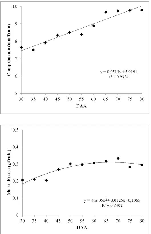 Figura 1 – Comprimento e massa fresca do fruto, em função dos dias após  abertura floral (DAA)