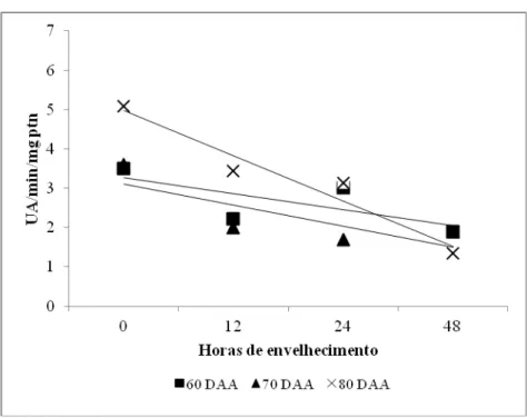 Figura 9 – Atividade enzimática da peroxidase em função das horas de envelhecimento e dias de  abertura floral, em sementes de pimenta submetidas ao envelhecimento acelerado