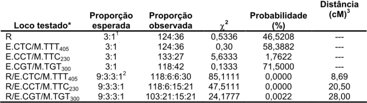Tabela 3. Análise da segregação do gene de resistência do Híbrido de Timor UFV 427-15 e  dos três marcadores identificados na população F 2  oriunda do cruzamento entre o  Híbrido de Timor UFV 427-15 e Catuaí Amarelo UFV 2143-236