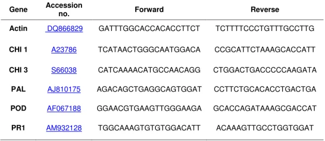 Table  1.  Sugarbeet genes quantified by qPCR analysis, their accession numbers and primer 