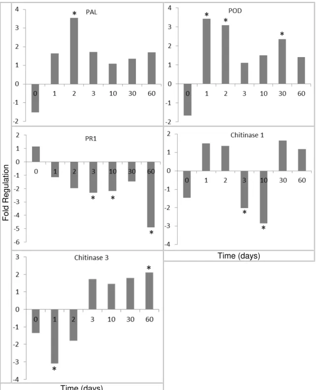 Fig.  1.    Effect  of  jasmonic  acid  (JA)  treatment  on  expression  of  five  common  defense-related 