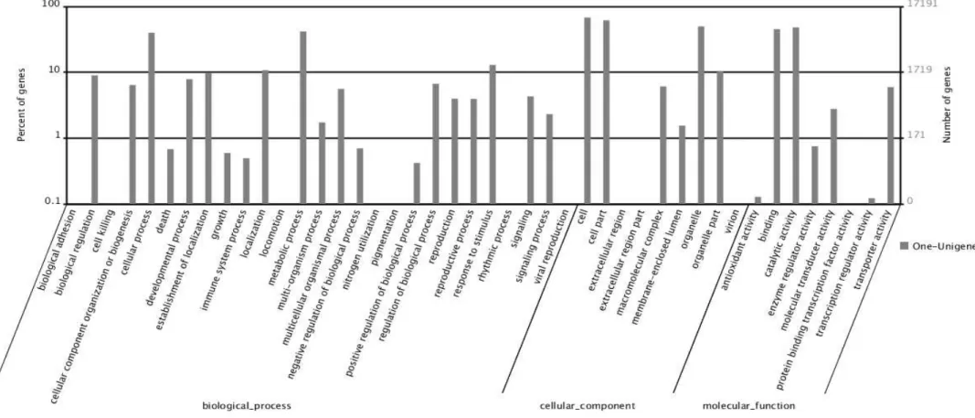 Fig. 2.  Gene ontology classification of assembled unigenes of sugarbeet transcriptome