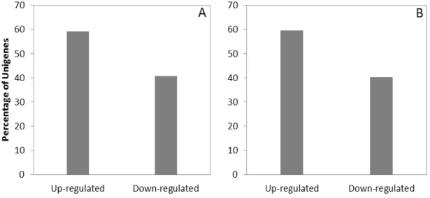 Fig.  4.    Percentage  of  unigenes  up-regulated  or  down-regulated  by  JA  treatment