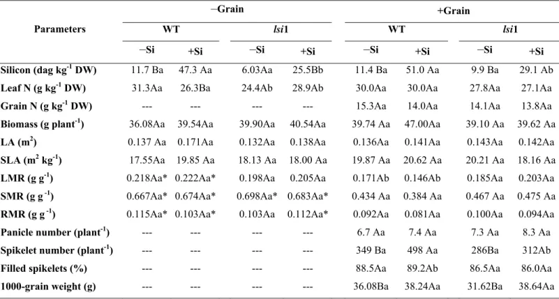 Table 1. The effects of grain load and silicon (Si) supply (0 or 2 mM: –Si or +Si,  respectively) on the concentrations of Si (flag leaves) and nitrogen (N; flag leaves and  grains),  growth parameters [total biomass, leaf area (LA), specific leaf area (SL