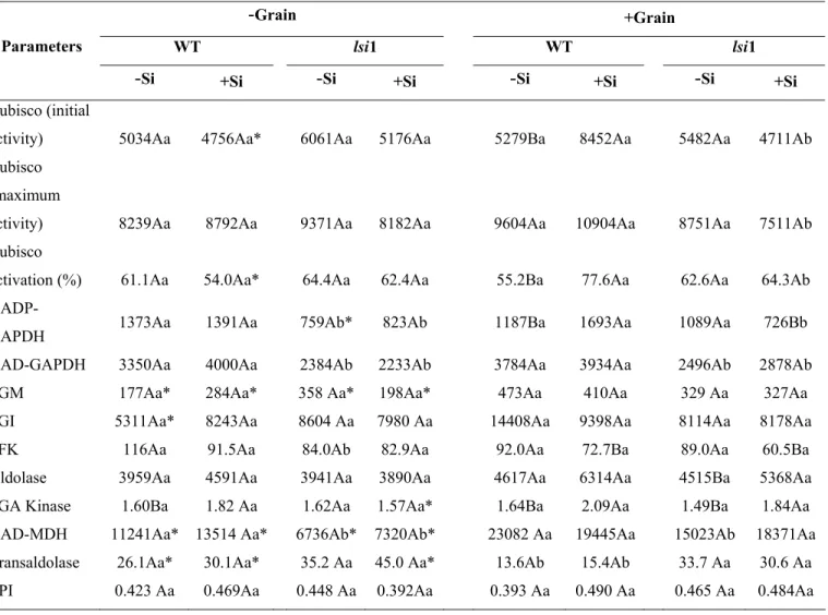 Table 4. The effects of grain load and silicon (Si) supply (0 or 2 mM: -Si or +Si,  respectively) on enzyme activities, expressed as nmol g -1  FW min -1  in flag leaves of two  rice genotypes [cv
