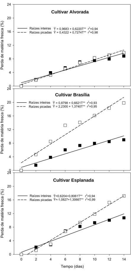 Figura 1. Perda de massa da matéria fresca (%) em raízes inteiras e picadas  das cultivares Alvorada, Brasília e Esplanada em função do tempo de  armazenamento (T) para as respectivas combinações de cultivar e tipo de raiz