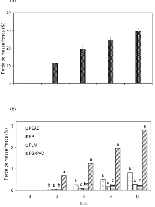 Figura 7. Perda de massa fresca (MF) (%) em mandioca minimamente  processada, cv. Cacauzinha, (a) sem embalagem e (b) embalada em polietileno  de alta densidade (PEAD), polipropileno (PP), poliolefina multicamadas (PLM) e  poliestireno mais poli (vinil clo