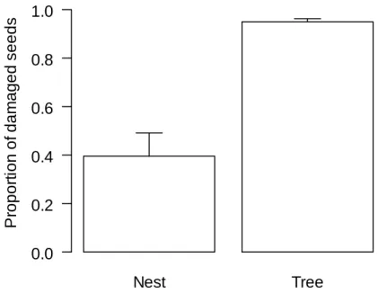 Fig. 1. Proportion of E. rotundifolia damaged seeds on A. robusta nests (n = eight nests)  and beneath adult plants (n = eight plants)