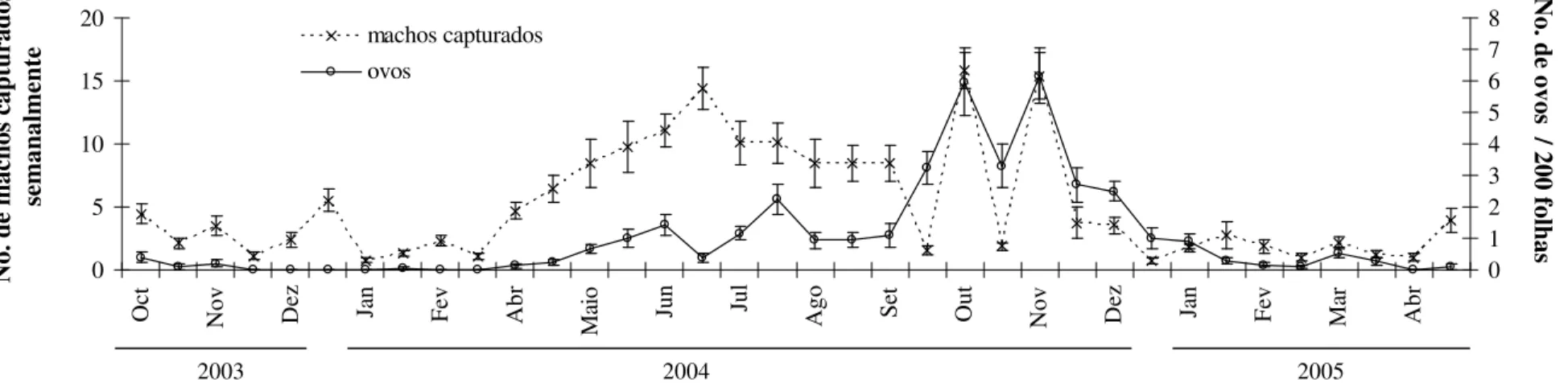 Figura 2. Flutuação populacional (média ± erro padrão) de machos e ovos de Leucoptera coffeella para a Zona da Mata, de  Minas Gerais, de outubro de 2003 a maio de 2005