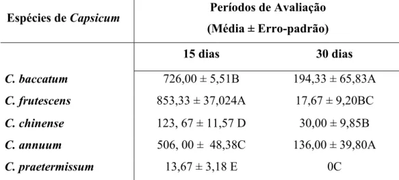 Tabela 2 – Densidade de P. latus em espécies de pimenta Capsicum, em diferentes períodos de avaliação