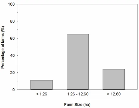 Figure 2. Percentage of farms (%) according to their size in hectares (ha). 