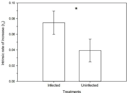Figure  2.  Intrinsic  rate  of  increase  of  Diaphorina  citri.  Mean  ±  SE  of  intrinsic  rate  of  increase  (r m )  of  Diaphorina  citri  (Hemiptera:  Psyllidae)  in  phytoplasma-infected  and  uninfected  plants  of  Citrus  aurantifolia