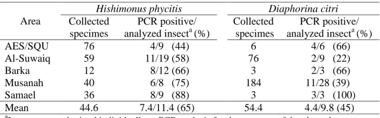 Table  1.  Presence  of  „Candidatus  Phytoplasma  aurantifolia‟  in  Hishimonus  phycitis  (Hemiptera:  Cicadellidae)  and  Diaphorina  citri  (Hemiptera:  Psyllidae)  collected  from  different area in Oman