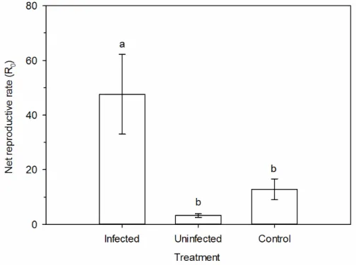 Figure  3.  Mean  ±  SE  of  net  reproductive  rate  (R 0 )  of  Diaphorina  citri  (Hemiptera:  Psyllidae)  on  asymptomatic  phytoplasma-infected,  uninfected  and  healthy  plants  of  Citrus aurantifolia