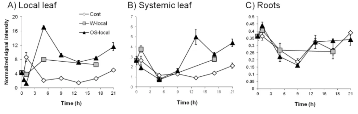 Figure 2.1: A putative N. attenuata invertase inhibitor is up-regulated in local and systemic leaves