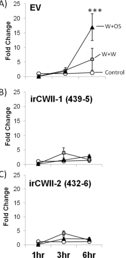 Figure 2.3: Silencing NaCWII suppresses herbivore-induced up-regulation of NaCWII. Relative transcript