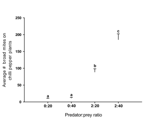 Figure 1. Average numbers (±SE)  of broad mite females on chili pepper plants.  Plants were either infested with 20 or 40 adult female broad mites and either 0  (0:20 and 0:40) or 2 (2:20 and 2:40) adult  female  Amblyseius herbicolus  were  released on th