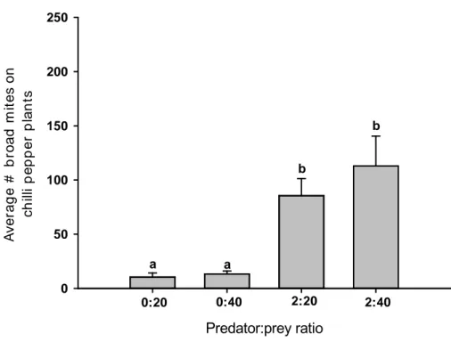 Figure 2. Average numbers  (±SE)  of broad mite females on chili pepper plants.  Plants were either infested with 20 or 40 adult female broad mites and either 0  (0:20 and 0:40) or 2 (2:20 and 2:40) adult female Neoseiulus barkeri were released  on the pla