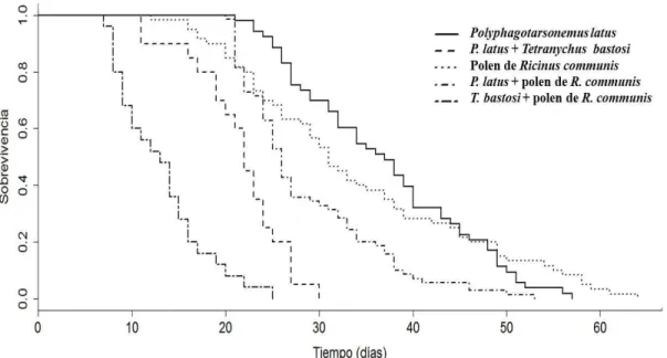 Figura  1.  Sobrevivencia  (%)  de  hembras  adultas  de  Typhlodromus  transvaalensis  (Acari:  Phytoseiidae) con cinco dietas alimentarias