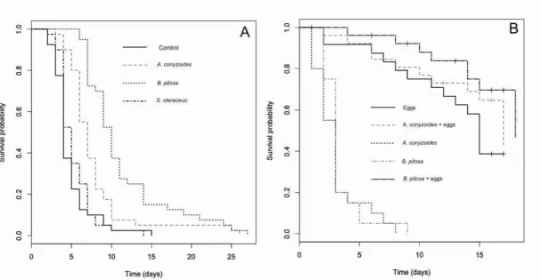 Figure  5.  (a)  Kaplan–Meier  estimates  of  survivorship  function  of  Cycloneda  sanguinea 