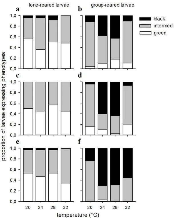 Figure 5. Frequency distribution of velvetbean caterpillars expressing color phenotypes  according to the environmental factors, temperature and population density