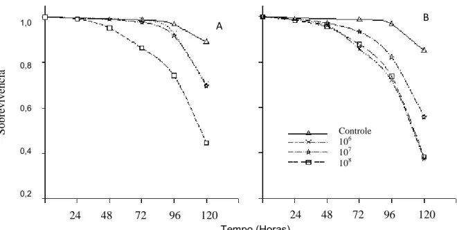 Figura  1.  Sobrevivência  de  fêmeas  (A)  e  de  machos  (B)  de  Podisus  distinctus  (Heteroptera:  Pentatomidae)  tratados  topicamente  com  Metarhizium  anisopliae  nas  concentrações de 10 6 , 10 7  e 10 8  conídios/mL