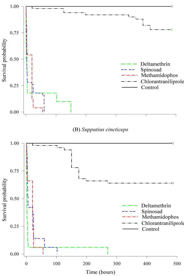 Figure 1. Survival curves of two predatory stinkbug species, Podisus nigrispinus  (A)  and  Supputius  cincticeps  (B)  (Heteroptera:  Pentatomidae),  exposed  to  chlorantraniliprole, deltamethrin, methamidophos, spinosad, and water (control)