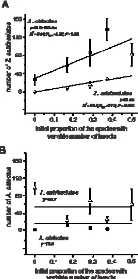 Fig. 1. Total number of live insects (A: Z. subfasciatus; B: A. obtectus) after three  experiments, each lasting 42 days (one generation), involving competition between A
