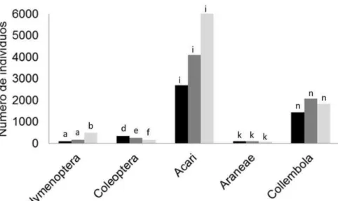 Figura  3:  distribuição  da  abundância  dos  grupos  mais  numerosos  em 