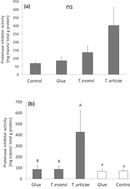 Figure  5  -  Average  proteinase  inhibitor  activity  (±  s.e.m.,  in  Mg  trypsin  inhibited/g  protein)  in  infested  and  induced  tomato  leaflets