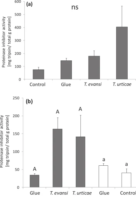 Figure  7  -  Average  proteinase  inhibitor  activity  (±  s.e.m.,  in  Mg  trypsin  inhibited/g protein) in infested and induced tomato leaflets