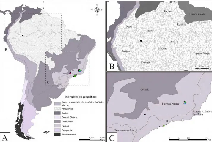 FIGURA 21. Mapa de distribuição das espécies de Amanayara, Phoremia e Zucchiella baseado nas regiões 