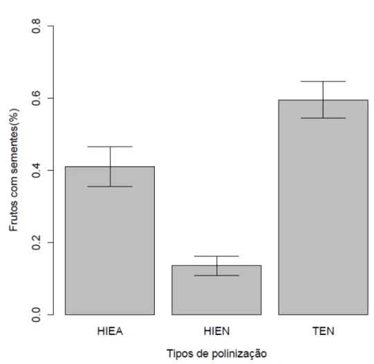Figura 12: Porcentagem de frutos com sementes encontrados em HIE e tenera obtidos de  plantios comerciais no Pará