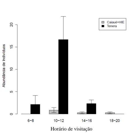 Figura 19: Abundância do polinizador Elaeidobius subvittatus (Coleoptera:  Curculionidae) (B) coletados em diferentes horas do dia