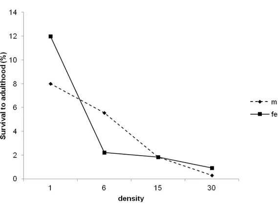 Fig 6 Adult survival probabilities of Neoleucinodes elegantalis in relation to density and sexes