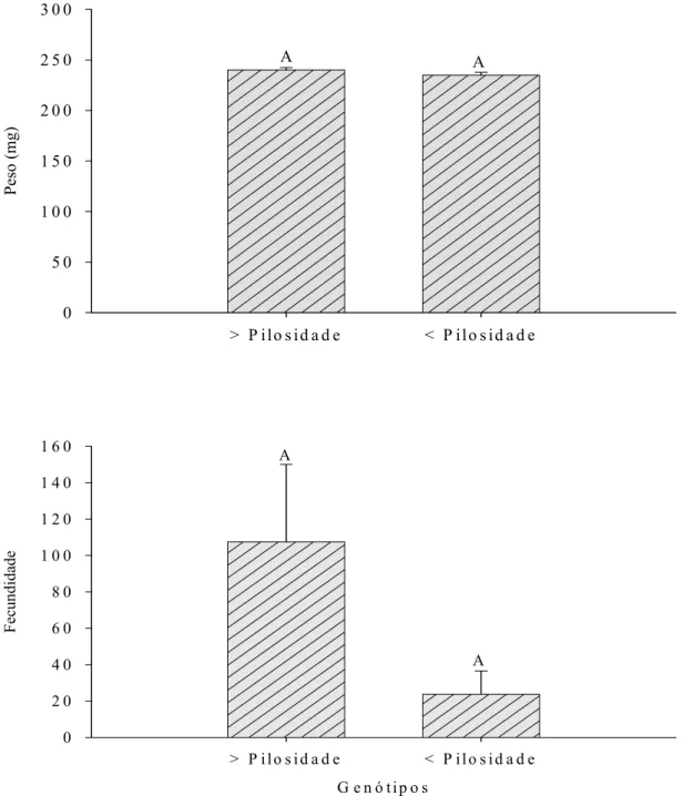 Figura 7. Peso de pupas e fecundidade de adultos de Alabama argillacea  (Lepidoptera: Noctuidae) em folhas de genótipos de algodoeiro com alta e baixa  densidade de tricomas à 25º C, umidade relativa de 68 ± 10% e fotofase de 12 horas