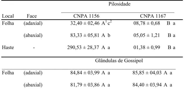 Tabela 2. Número de tricomas e de glândulas de gossipol nas faces adaxial e abaxial  das folhas e de tricomas na haste principal dos genótipos de algodão CNPA 1156  (alta densidade de tricomas) e CNPA 1167 (baixa densidade de tricomas) 