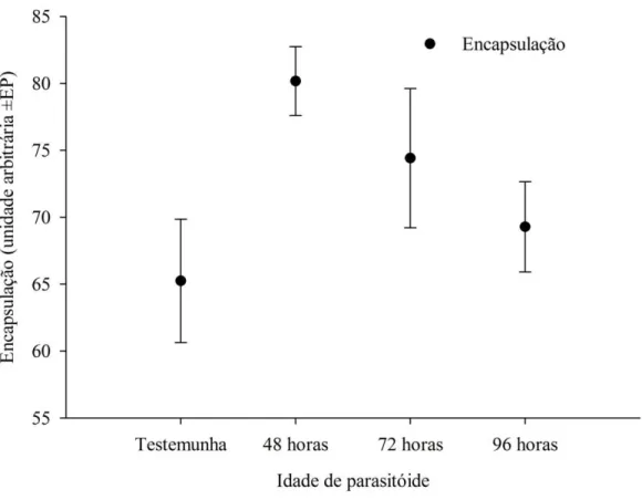 Figura 8- Encapsulação (±EP) induzida pelo parasitismo de Palmistichus elaesis  (Hymenoptera: Eulophidae) com 48, 72 ou 96 horas após a emergência em pupas de 