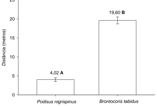 Figura 2.  Distância média de dispersão dos predadores Podisus nigrispinus e Brontocoris  tabidus (Heteroptera: Pentatomidae) em plantio de eucalipto clonal Eucalyptus grandis x  Eucalyptus urophylla em sete dias de avaliação