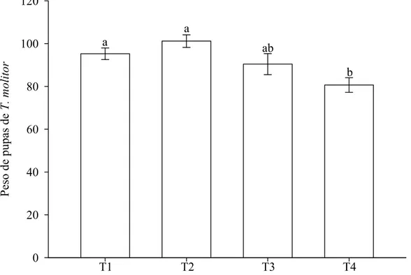 Figura 1. Peso de pupas de Tenebrio molitor (Coleoptera: Tenebrionidae) (mg)  (média ± erro padrão) sadias (T1); com um dia de parasitismo (T2); com nove  dias de parasitismo (T3); com 18 dias de parasitismo (T4) por Palmistichus  elaeisis (Hymenoptera: Eu