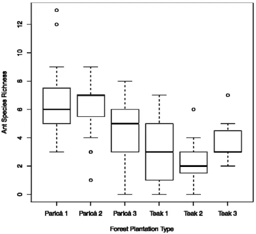 Figure 2: Ant species richness in Paricá- and Teak-planted forests. 