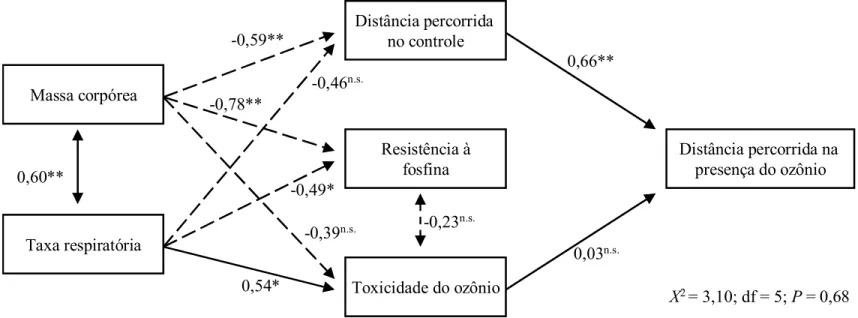 Figura 8. Diagrama de trilha mostrando a influência da distância percorrida nas arenas sem ozônio (controle), toxicidade do ozônio,  massa  corpórea,  taxa  respiratória  e  resistência  à  fosfina  sobre  a  distância  percorrida  das  populações  de  Sit