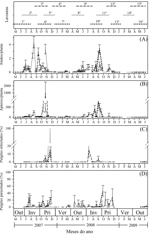 Figura 2. Variação sazonal das densidades de alados (A), ápteros (B), pulgões  infectados por Entomophthorales (C) e parasitados (D) de Brevicoryne brassicae em 16  cultivos de repolho cultivados em Viçosa, MG de Abril de 2007 a Junho de 2009