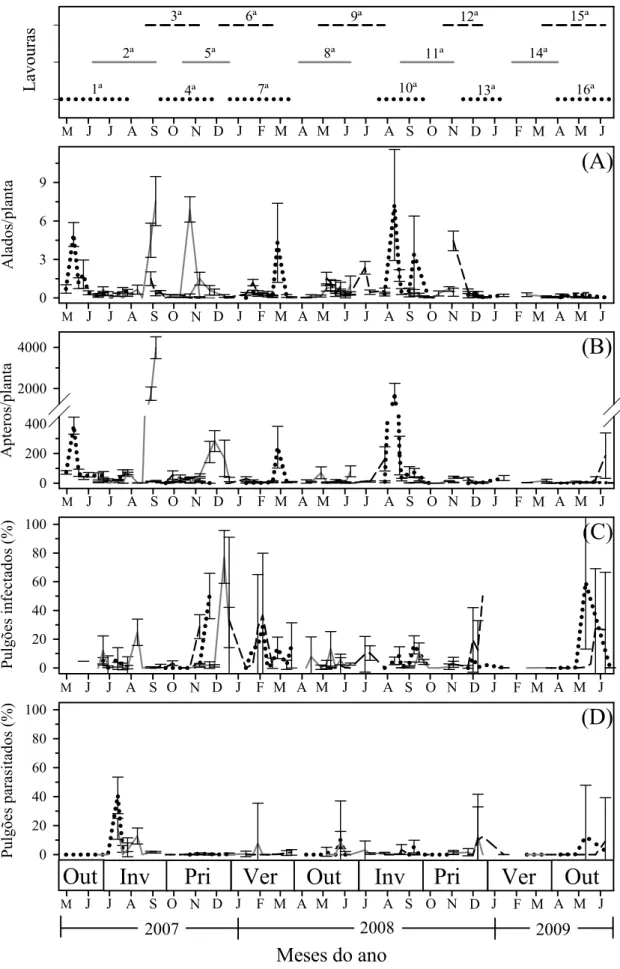 Figura 3. Variação sazonal das densidades de alados (A), ápteros (B), pulgões  infectados por Entomophthorales (C) e parasitados (D) de Lipaphis erysimi em 16  cultivos de repolho cultivados em Viçosa, MG de Abril de 2007 a Junho de 2009