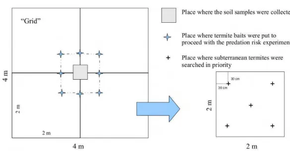 Figure 2: Schematic drawing of the sampling area.