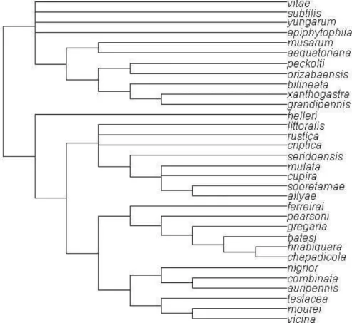Figura S2: Hipóteses filogenética para 32 espécies do gênero Partamona, proposta por  Camargo e Pedro (2003)