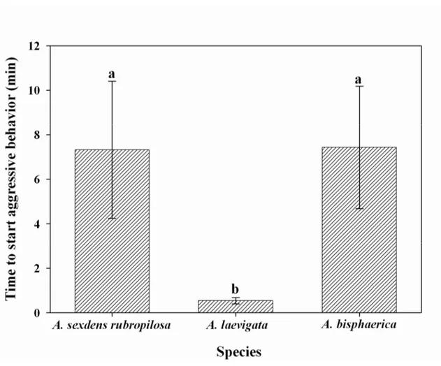 Fig. 2. Time to start aggressive behavior (min) (± SE) by workers from colonies of three ant 