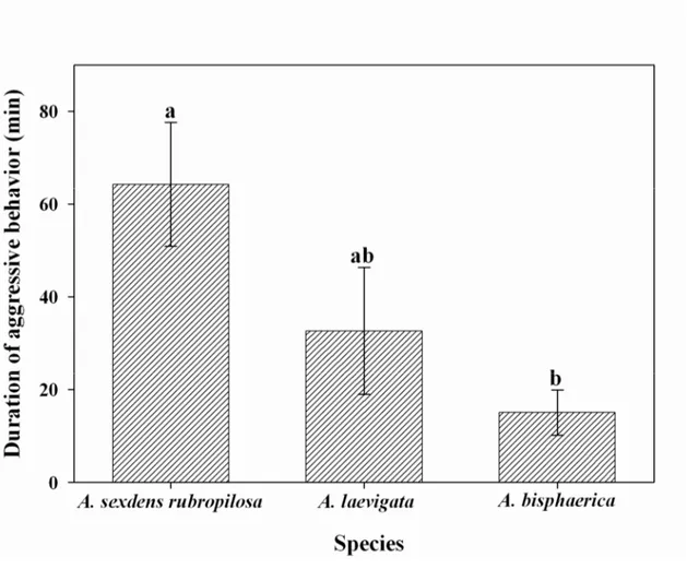 Fig. 3. Duration of aggressive behavior (min) (± SE) in colonies of three ant species (genus 