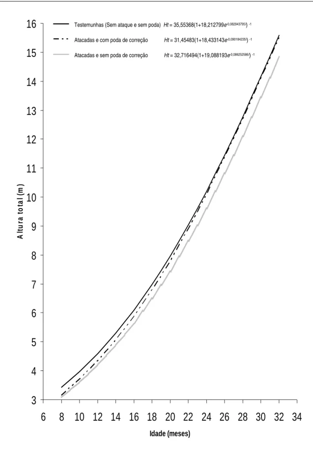 Figura 28. Curvas de crescimento em altura total (Ht), em função da idade (I), de árvores  de eucalipto híbrido (clone de Eucalyptus grandis vs E
