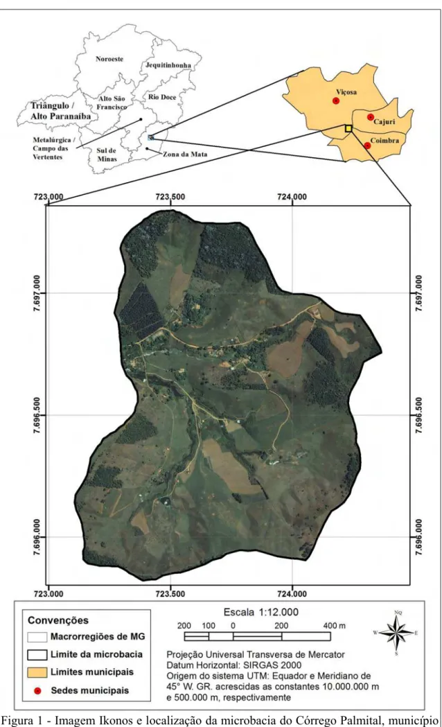 Figura 1 - Imagem Ikonos e localização da microbacia do Córrego Palmital, município de Viçosa-MG.